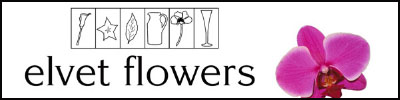 elvetflowers