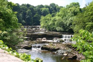 Aysgarth Falls