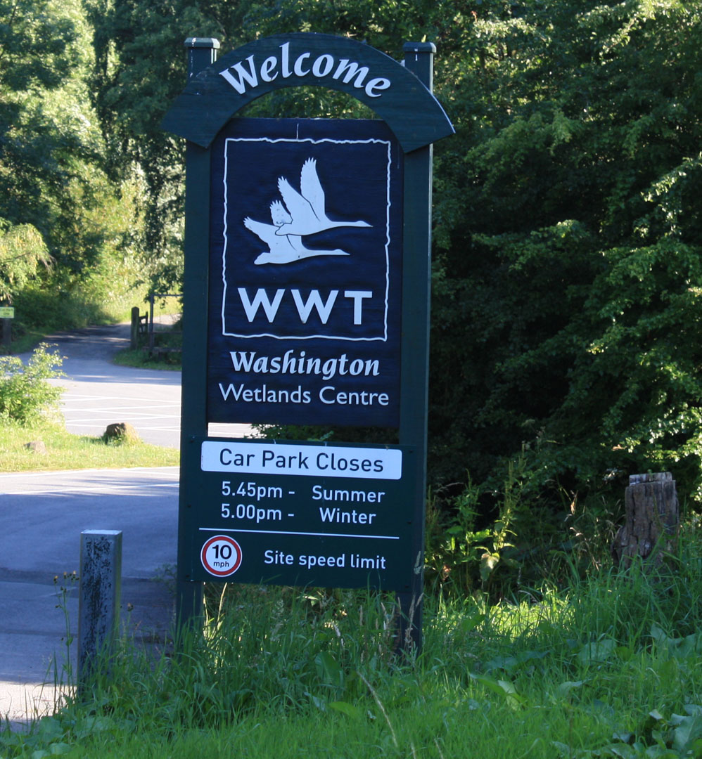 Washington Wetlands Centre