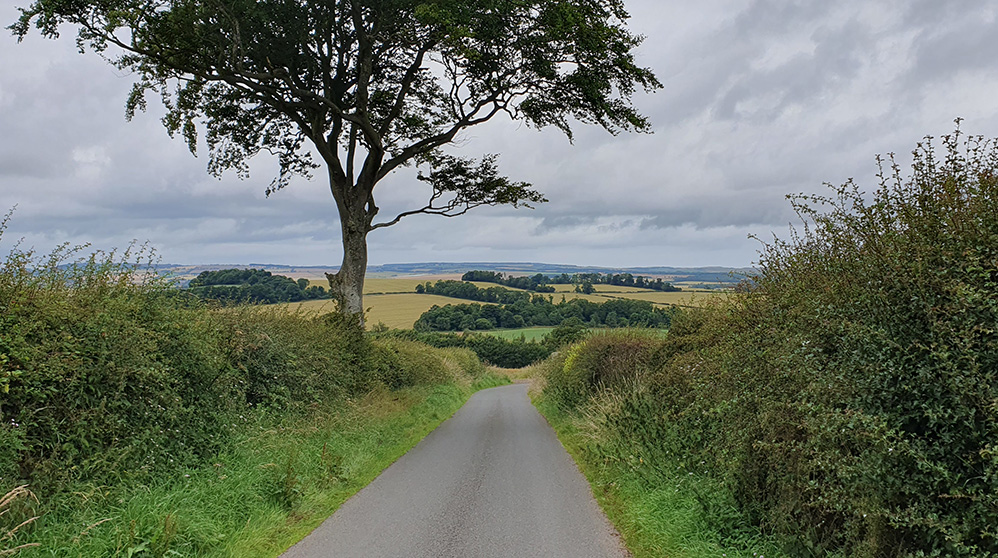 Berwickshire scenery between Foulden and Ayton