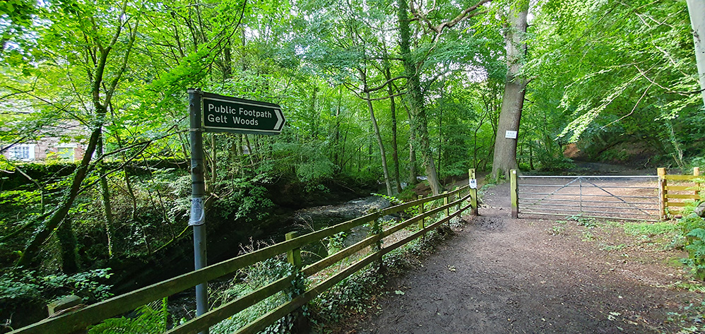 Gelt Woods © David Simpson