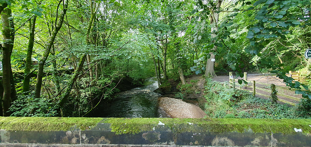 River Gelt, Gelt Woods