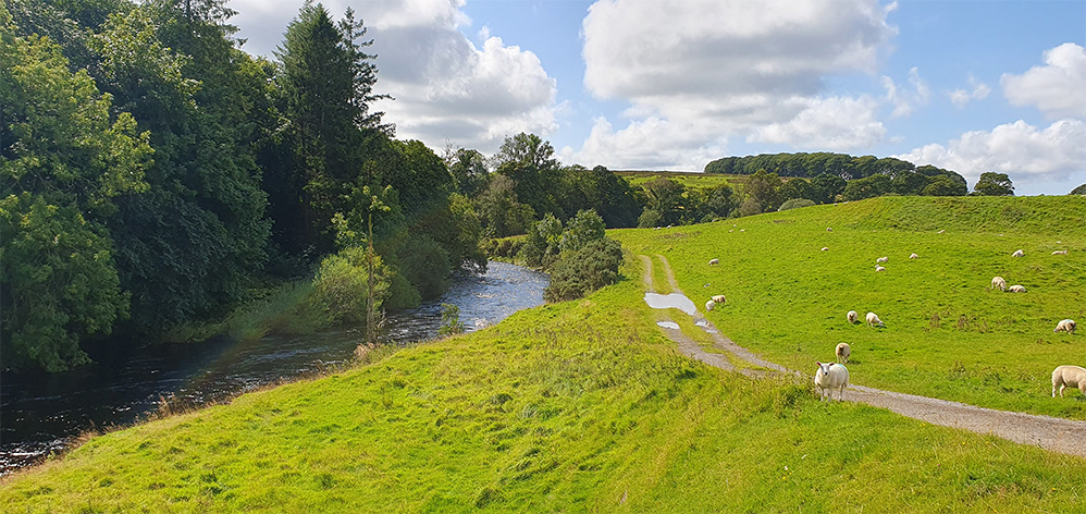 River Irthing near Gilsland