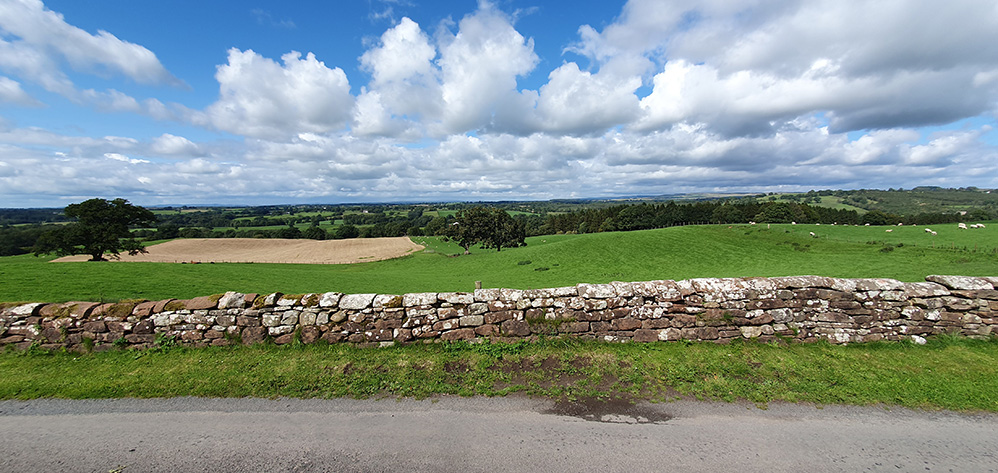 Scenery near Boothby
