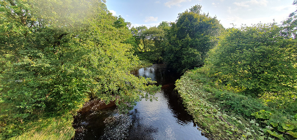 The White Lyne - a tributary of the River Lyne
