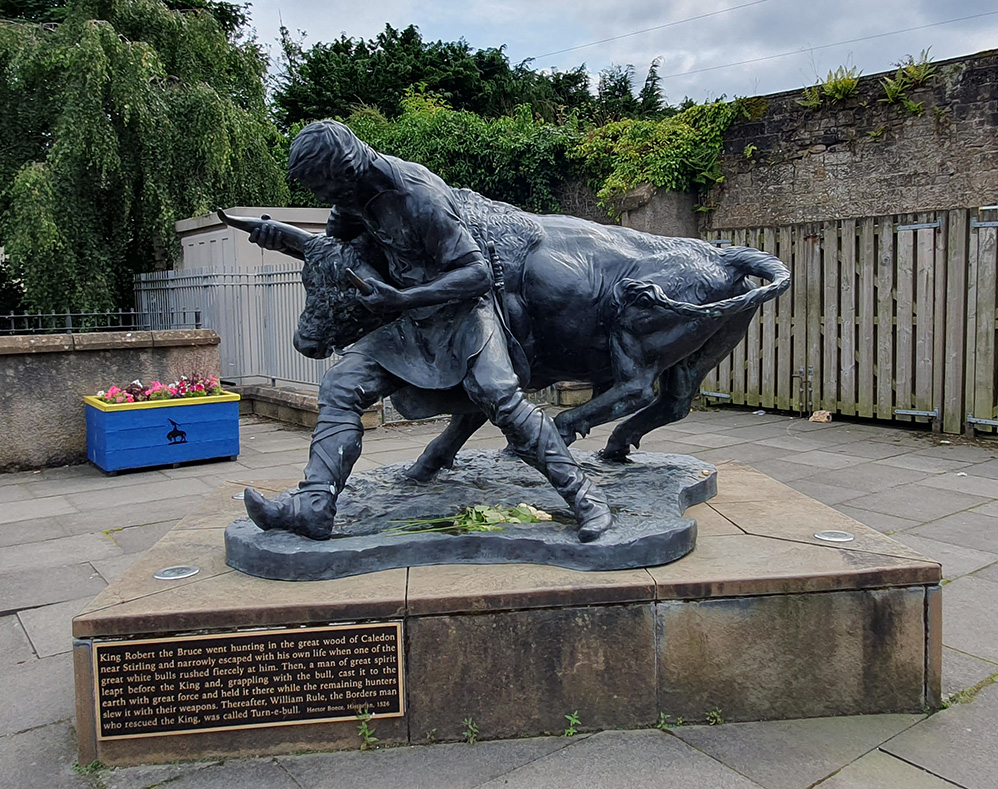Turning of the Bull sculpture at Hawick, Scottish Borders 