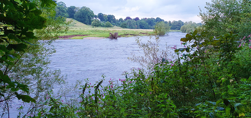 River Eden at Carlisle 