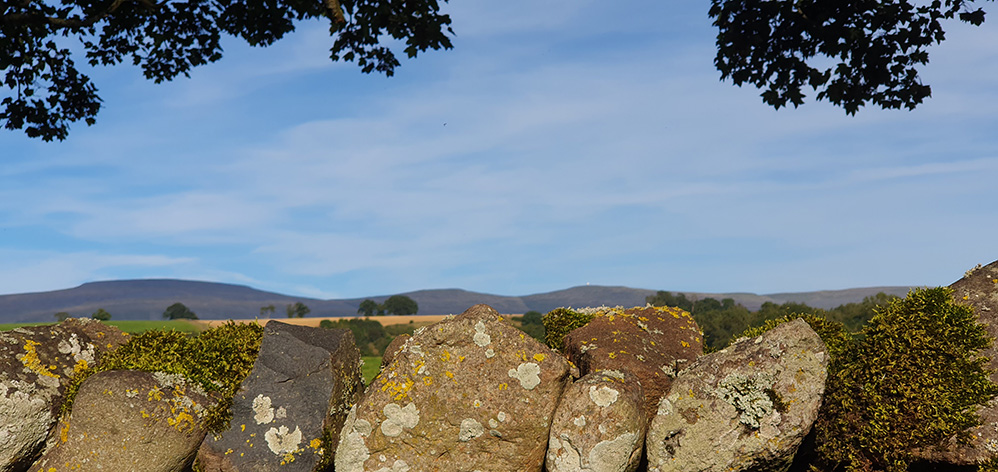 Cross Fell pictured from Crowdundle Farm, just north of the Crowdundle Beck 