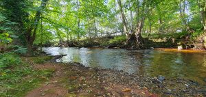 Crowdundle Beck, Acorn Bank