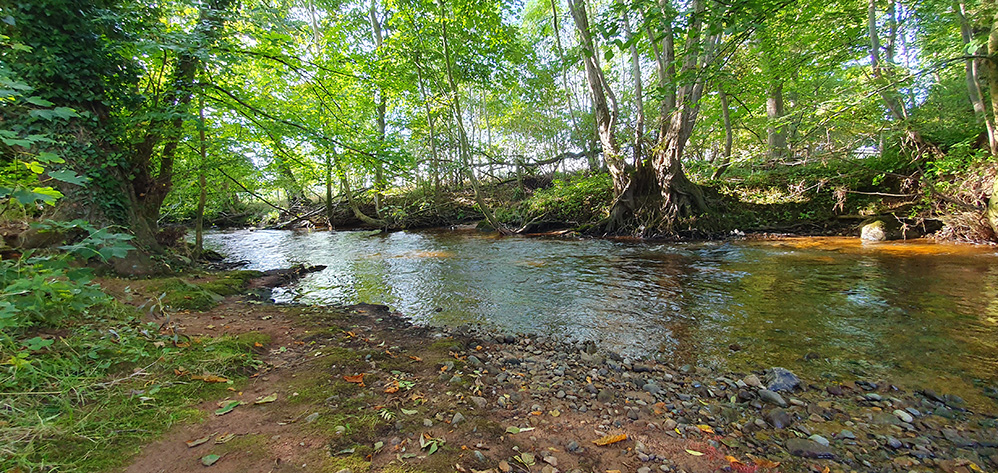 Crowdundle Beck, Acorn Bank