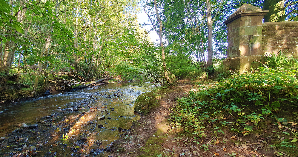 Crowdundle Beck, Acorn Bank (on the Westmorland side)