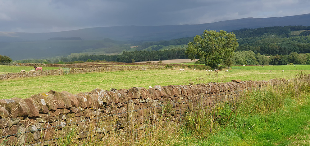 View of the Eden Valley and North Pennines between Lazonby and Great Salkeld 