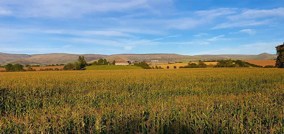 Looking across the Eden valley to the Pennines from the village of Bolton showing the three conical hills of Knock Pike (left); Dufton Pike (centre) and Burton Pike (right)