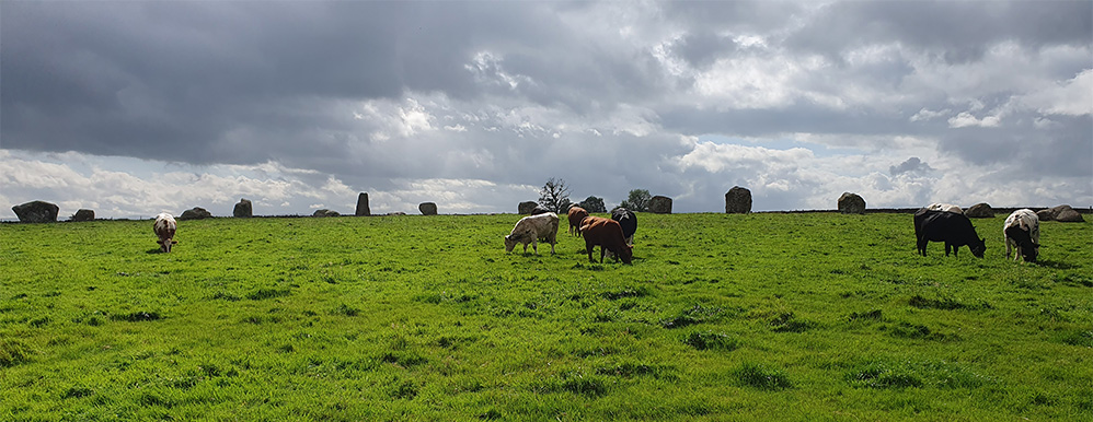 Long Meg's Daughters © David Simpson