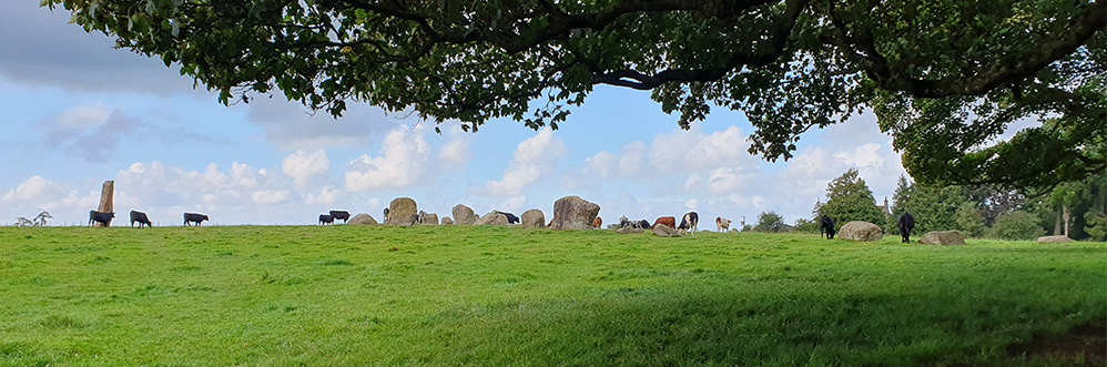 Long Meg and Her Daughters