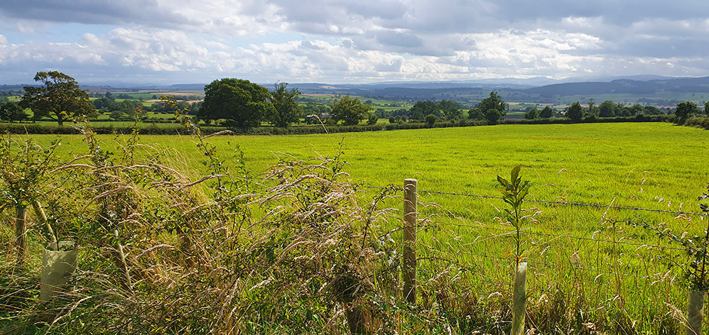 Eden valley and the Cumbrian fells viewed from the Long Meg stone circle 