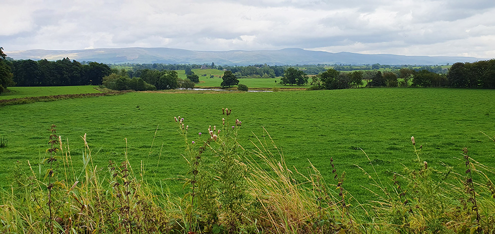 River Eden and its valley south of Great Salkeld 