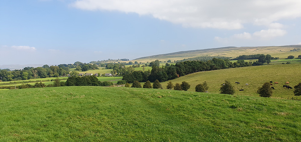 Scenery near Kirkby Stephen