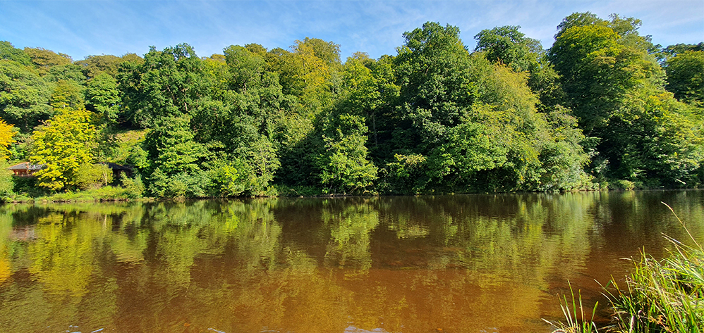 River Eden, Wetheral