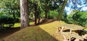 Aldborough Roman town